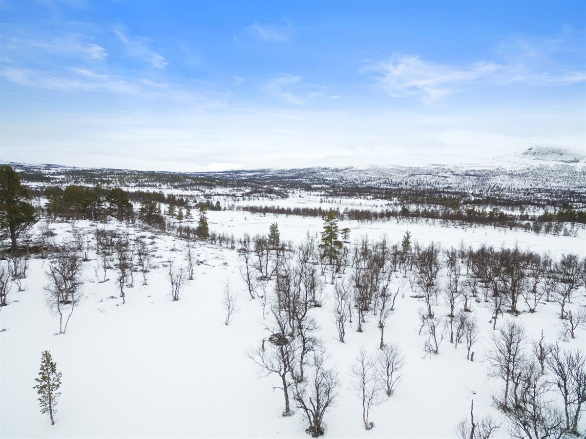 dji_0033 Galleribilde