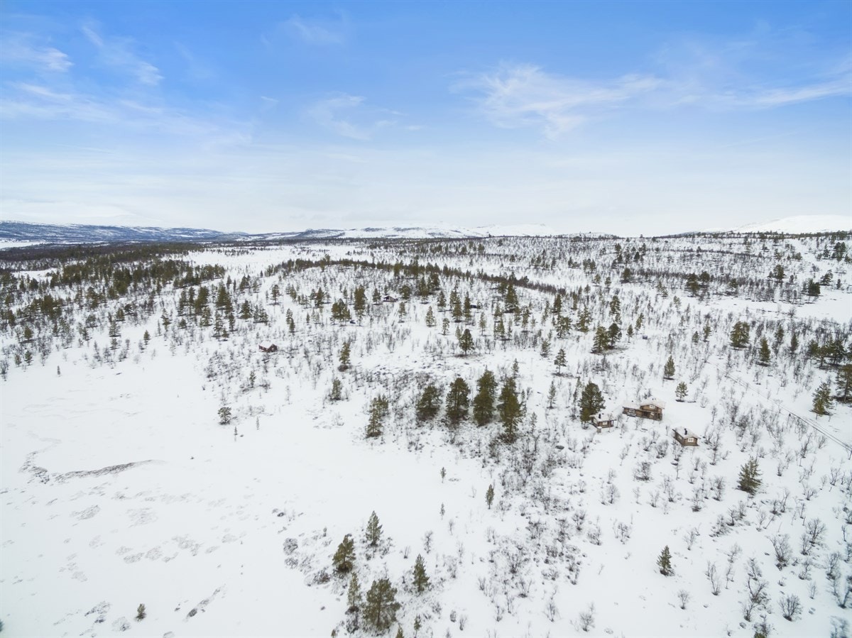 dji_0025 Galleribilde