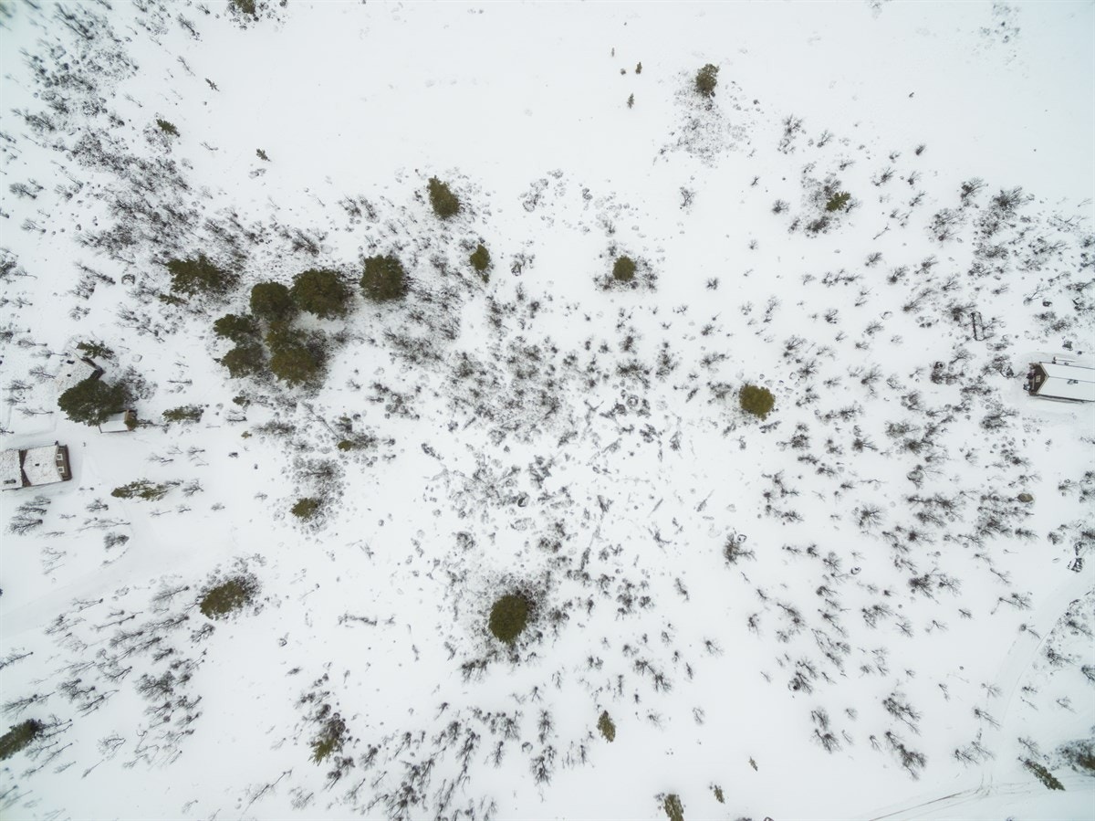 dji_0029 Galleribilde