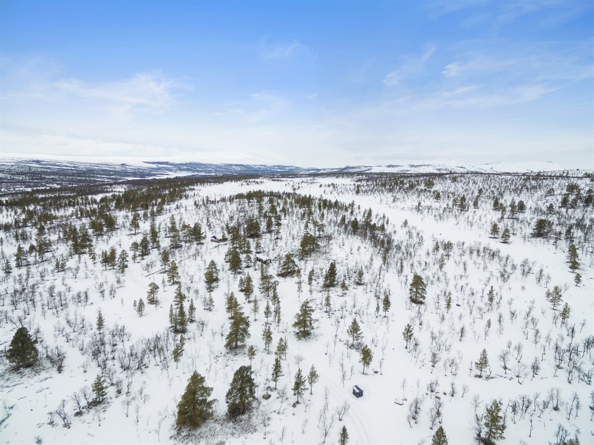 dji_0020 Galleribilde