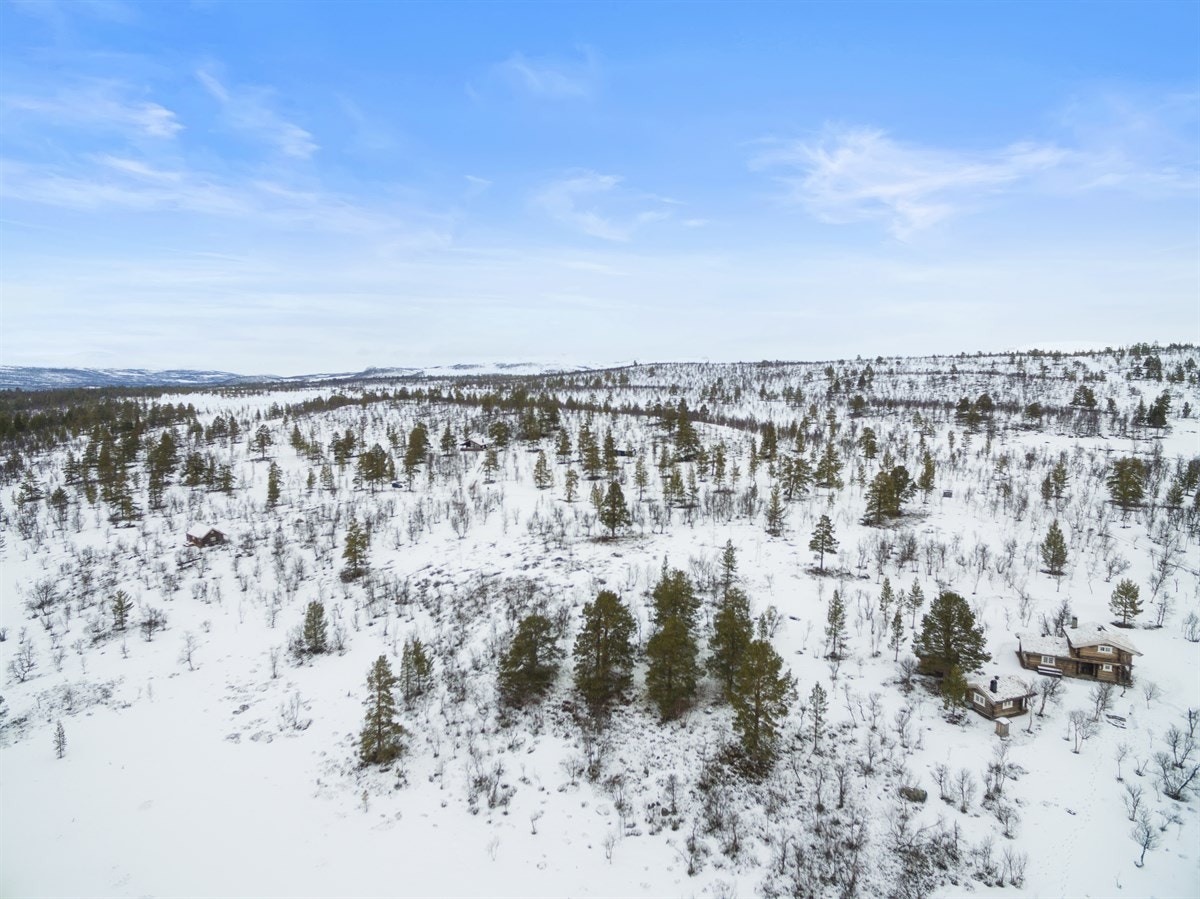 dji_0026 Galleribilde