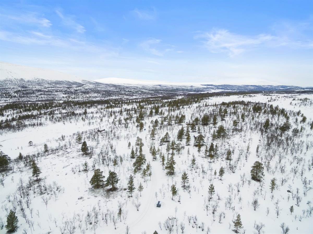 dji_0019 Galleribilde