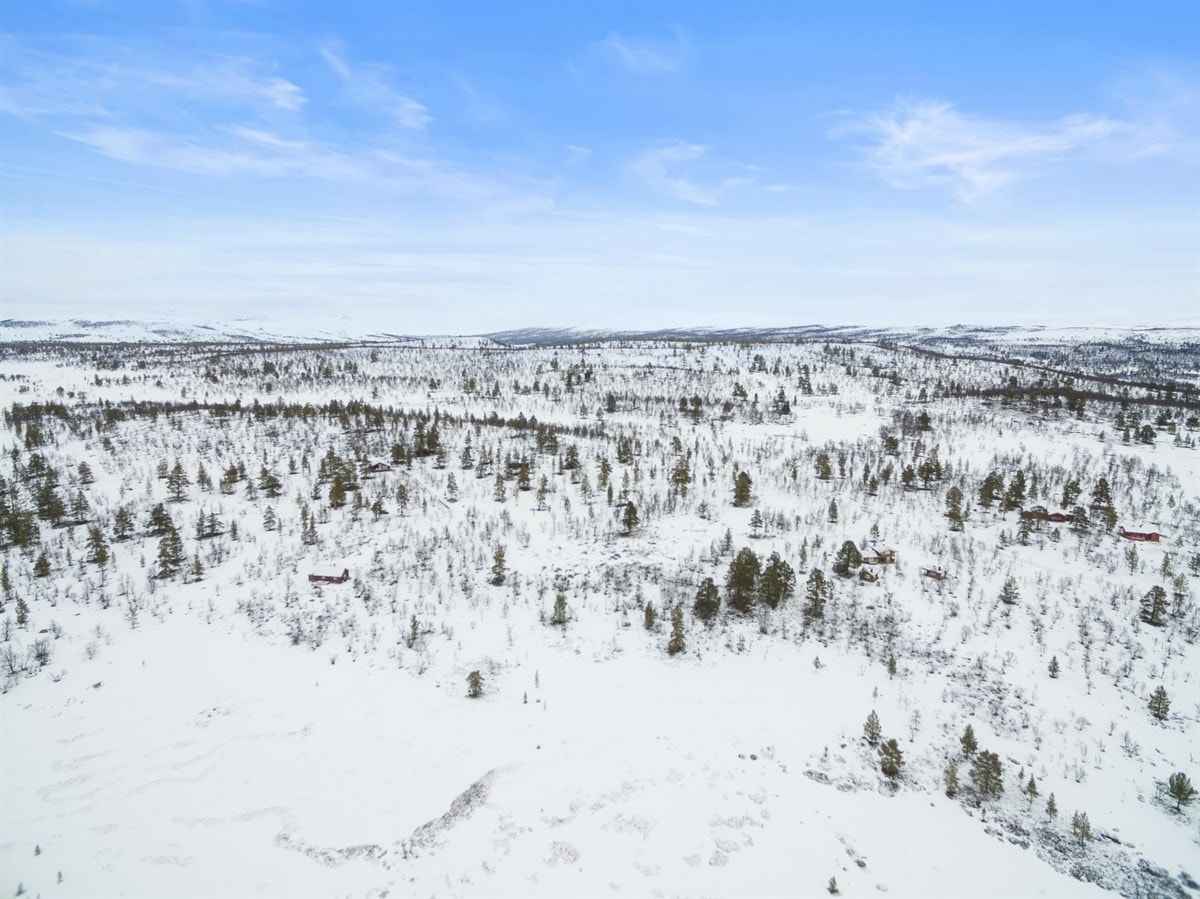 dji_0024 Galleribilde