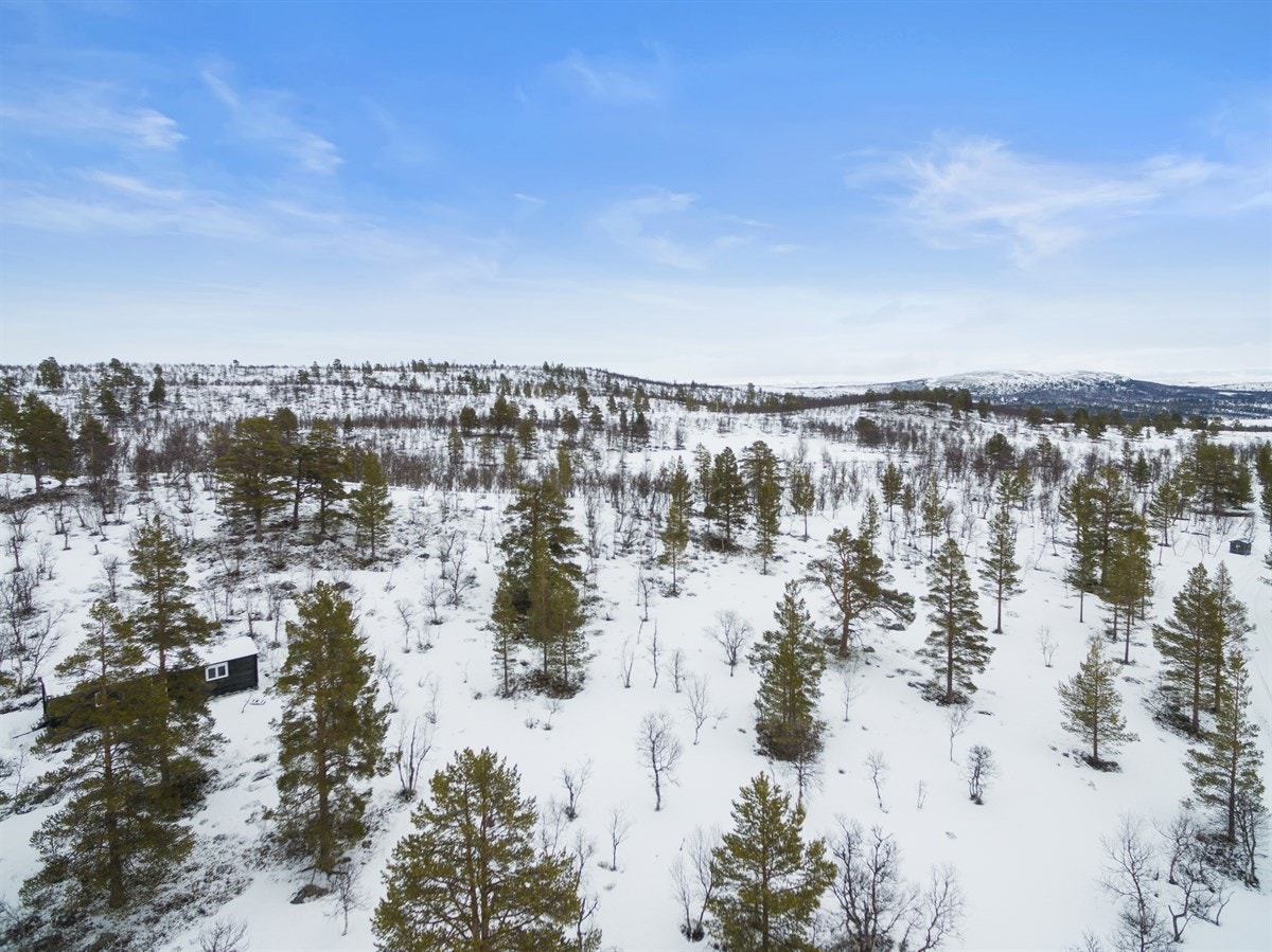 dji_0015 Galleribilde