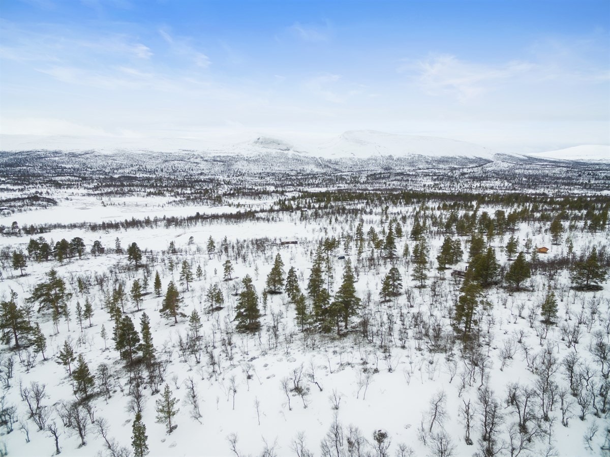 dji_0016 Galleribilde