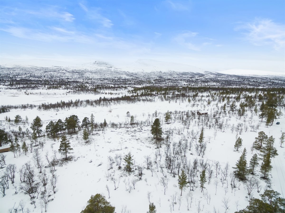 dji_0022 Galleribilde