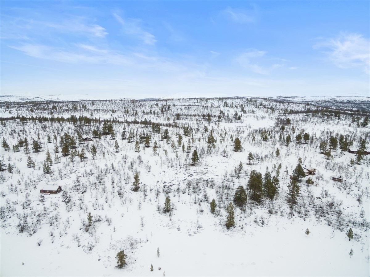 dji_0023 Galleribilde