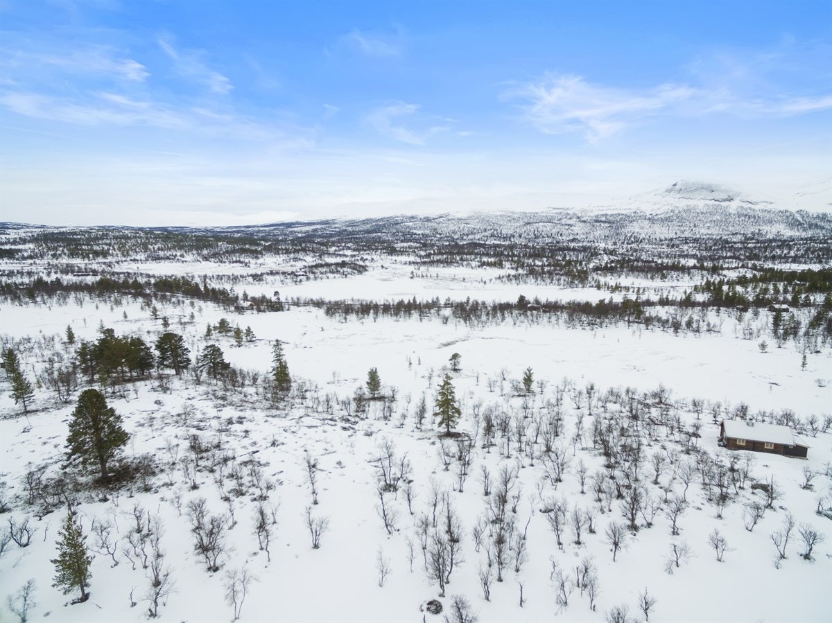 dji_0032 Galleribilde