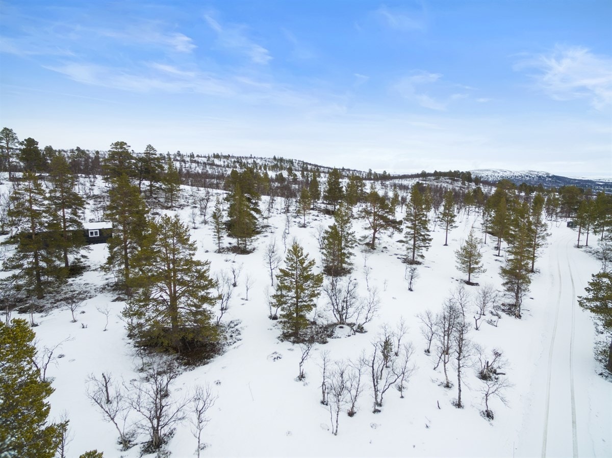 dji_0034 Galleribilde