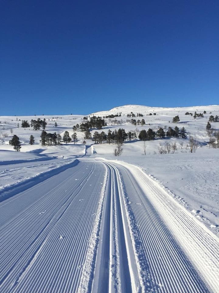 Flotte skispor like i nærheten. Galleribilde