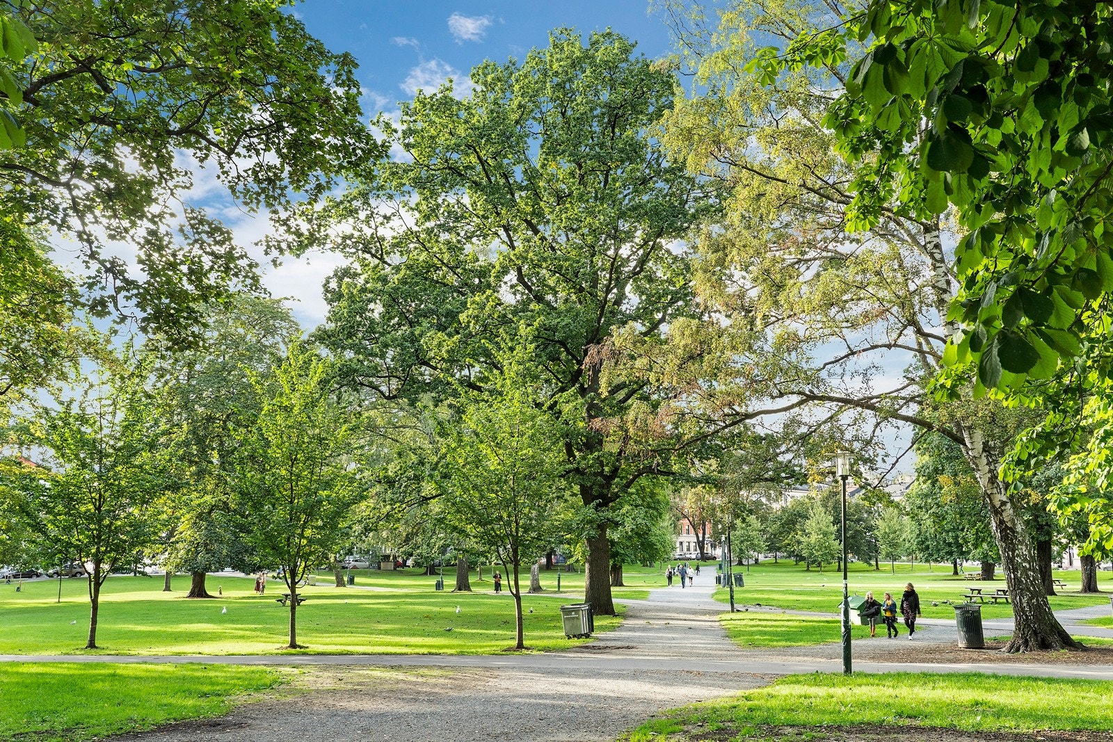 Fra leiligheten er det gangavstand til flotte parkområder. Galleribilde