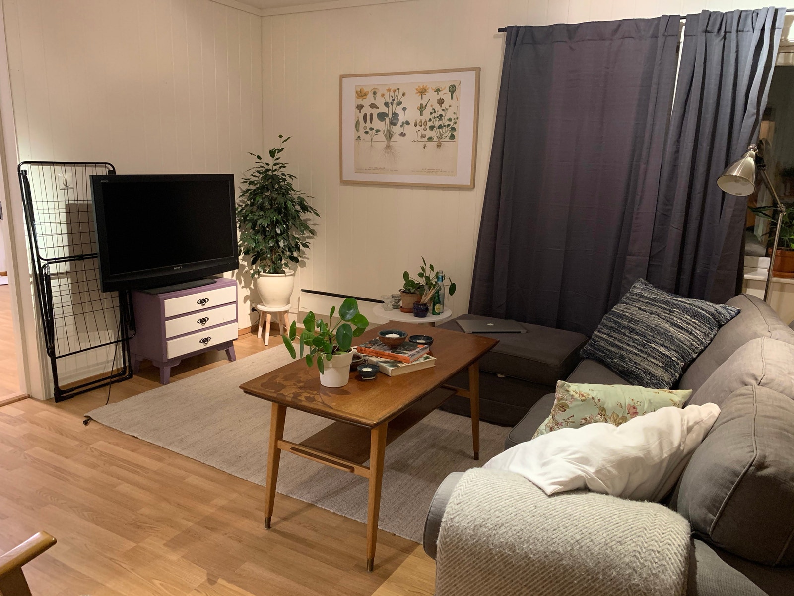 Romslig stue, lyse vegger og eikegulv Galleribilde