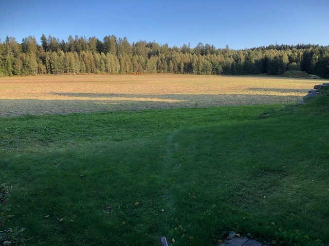 Utsikt fra inngangsparti Galleribilde