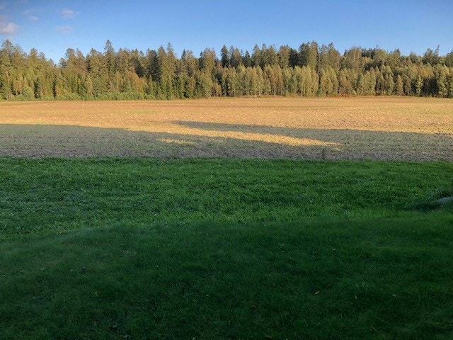 Utsikt fra spiseplass Galleribilde