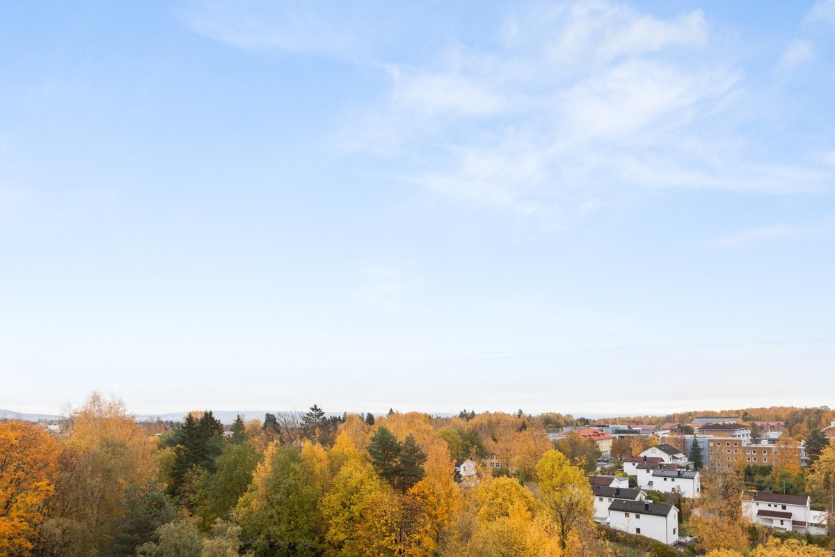 Utsikt mot syd fra balkongen Galleribilde