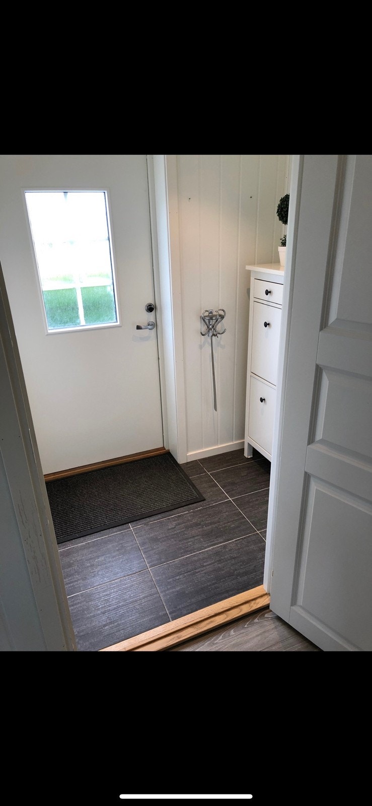 Vindfang Galleribilde