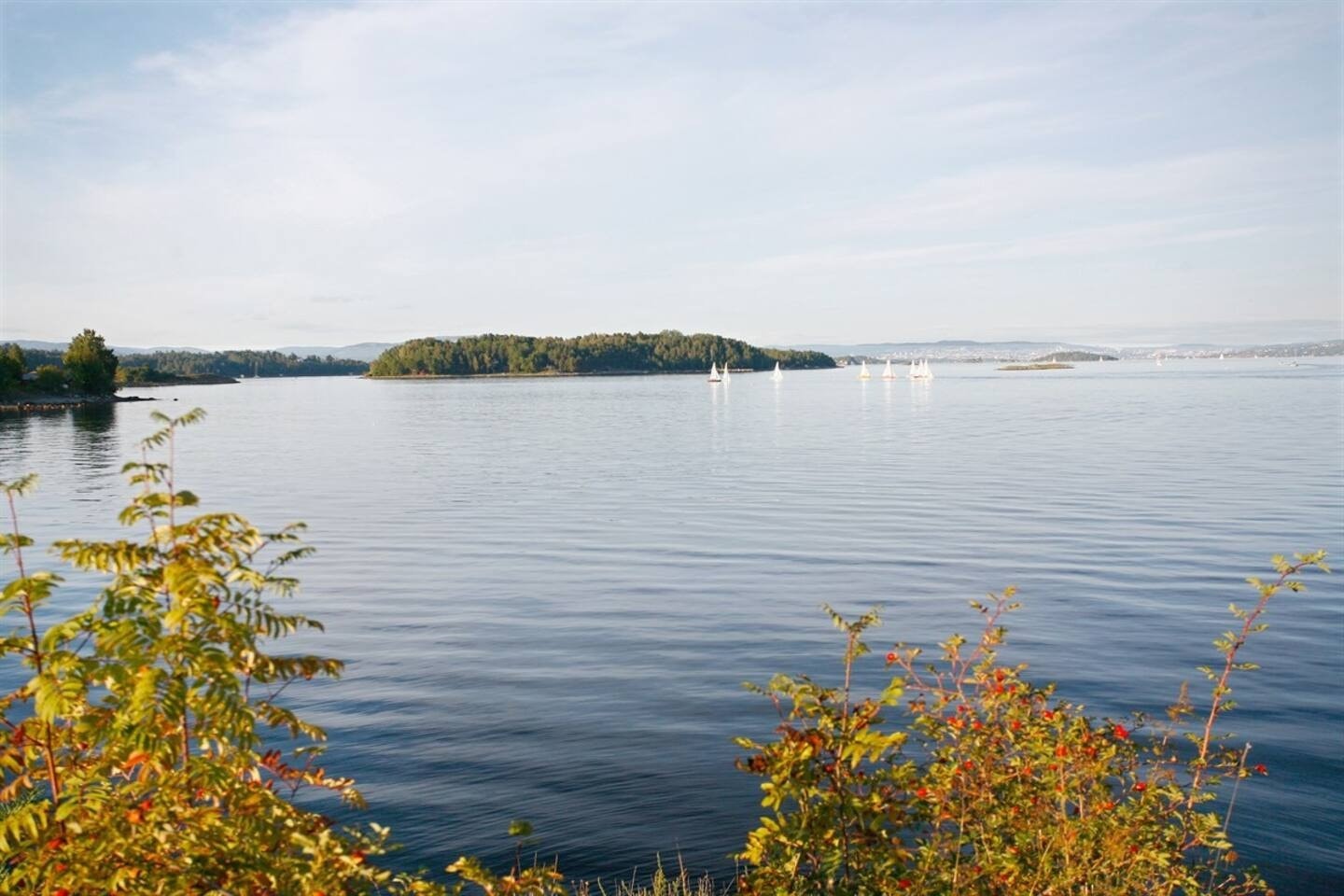 Kort vei til sjø og kyststien Galleribilde