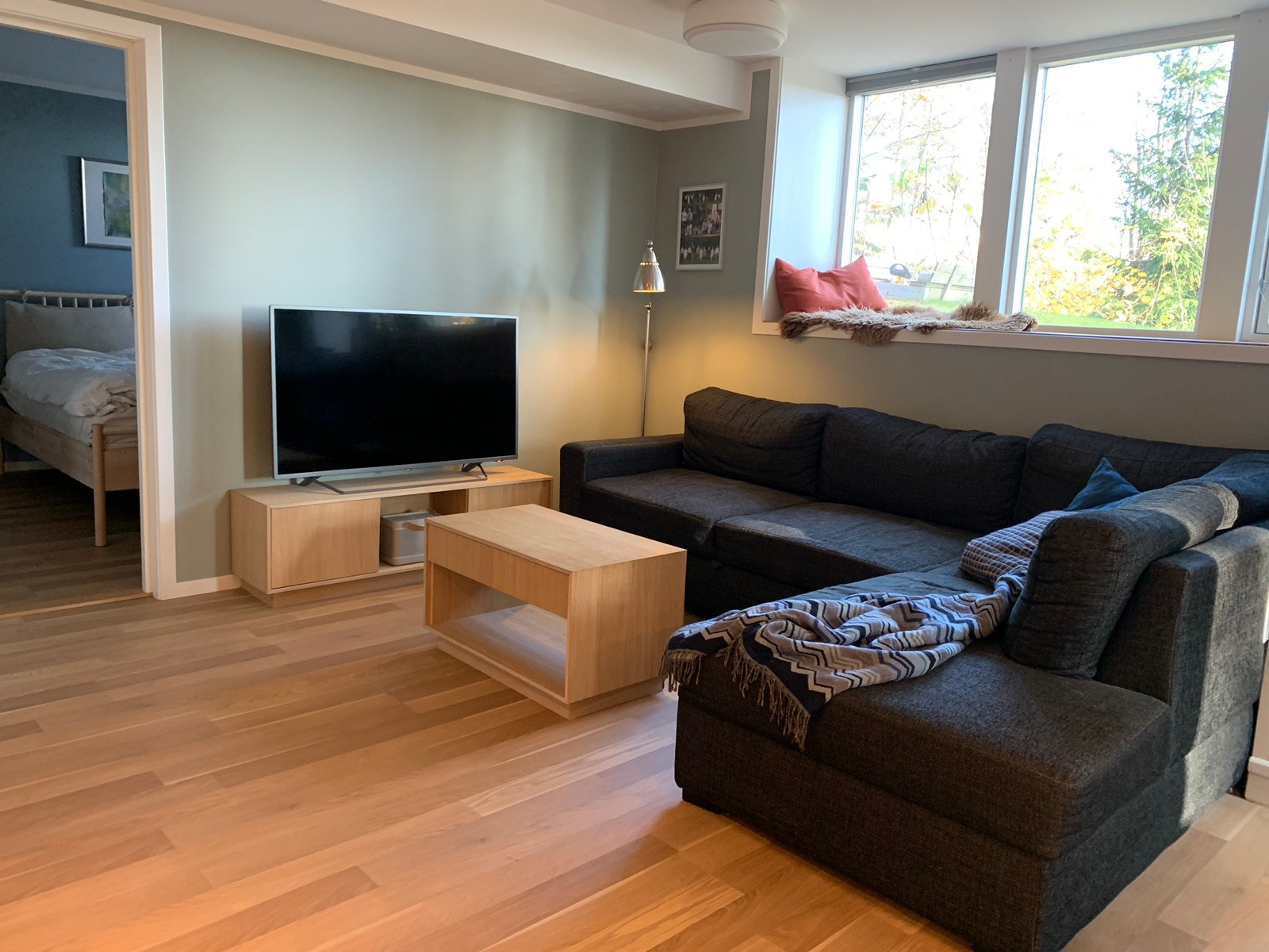 Tilgang til internett/fiber bak TV Galleribilde