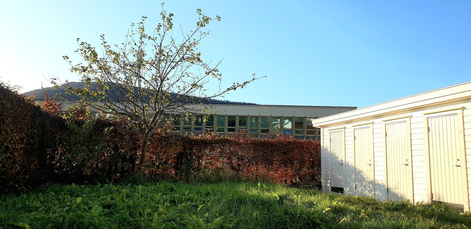 Egen utgang til hage Galleribilde