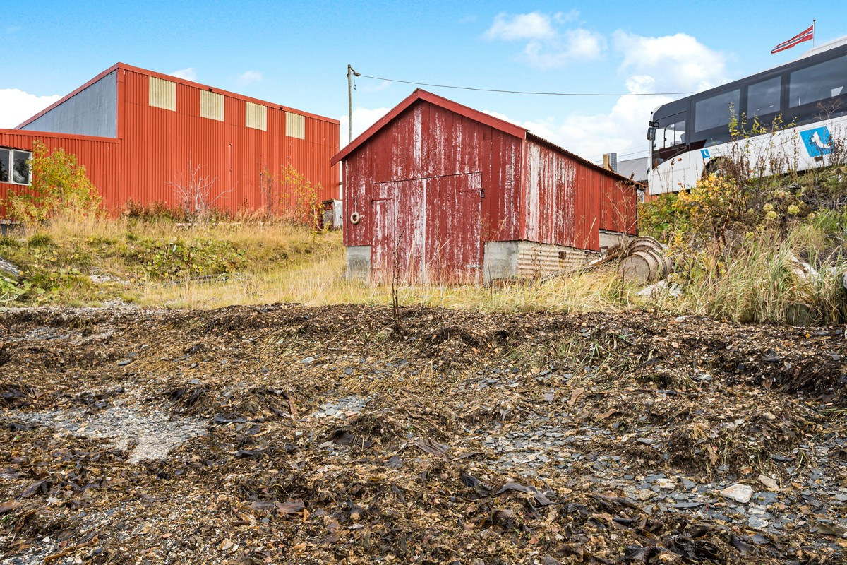 Sjå