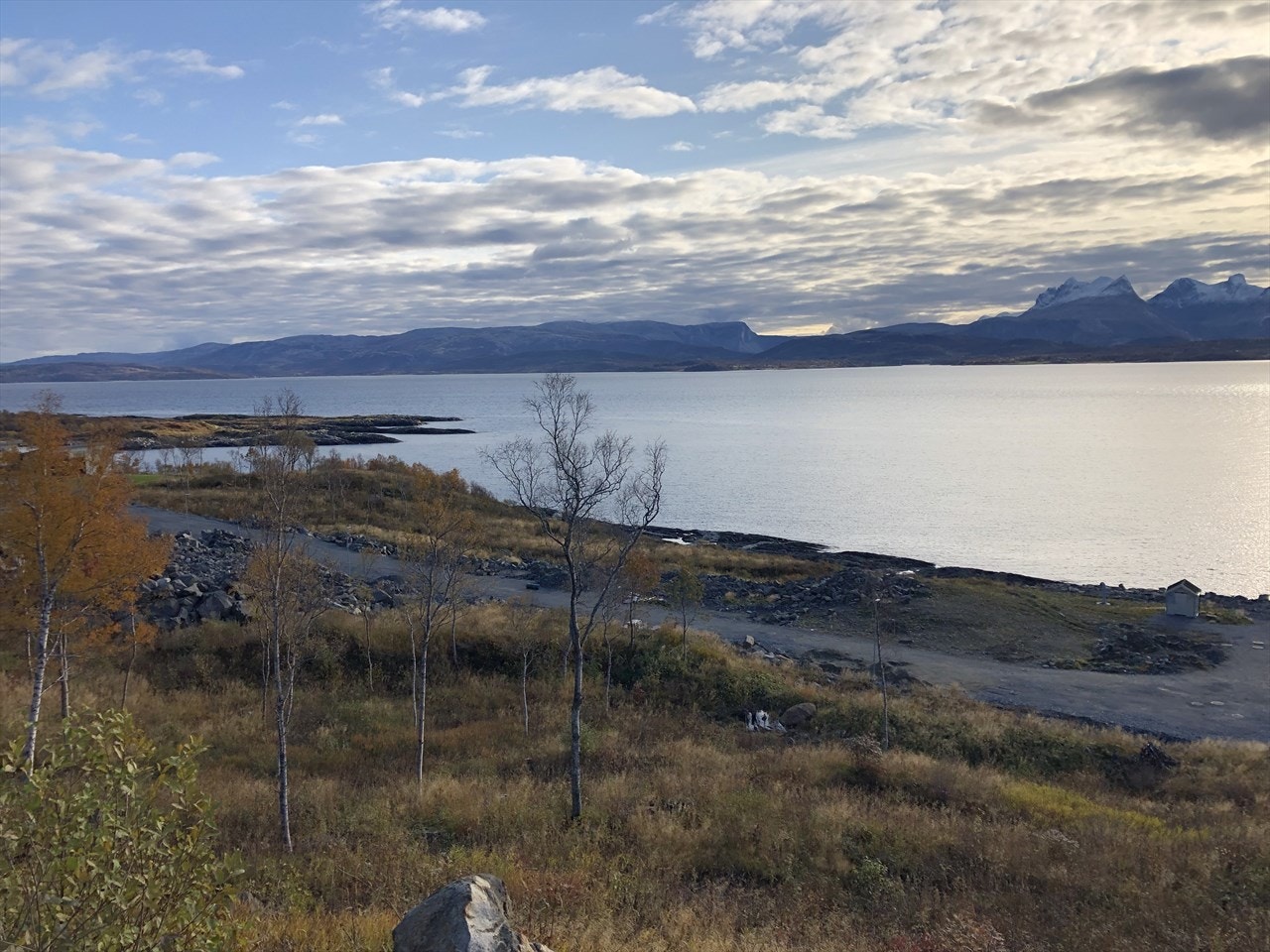 Nærområdet. Galleribilde
