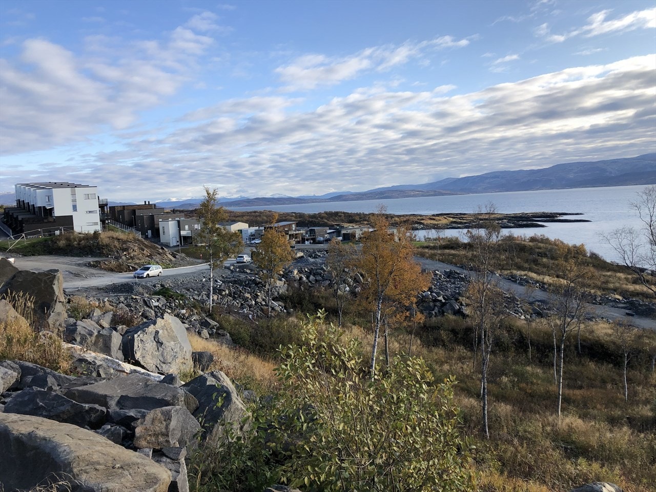 Nærområdet. Galleribilde