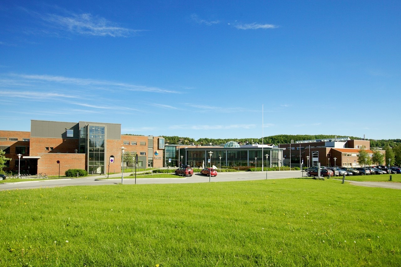 Nærhet til Universitetet og i tillegg Politihøgskolen og Bodin videregående skole. Galleribilde