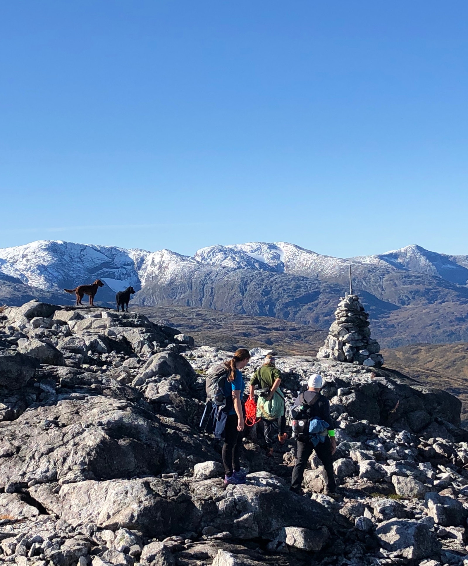 På vei opp til Mjølfjellet (Foto: Siv Helen Lekven) Galleribilde