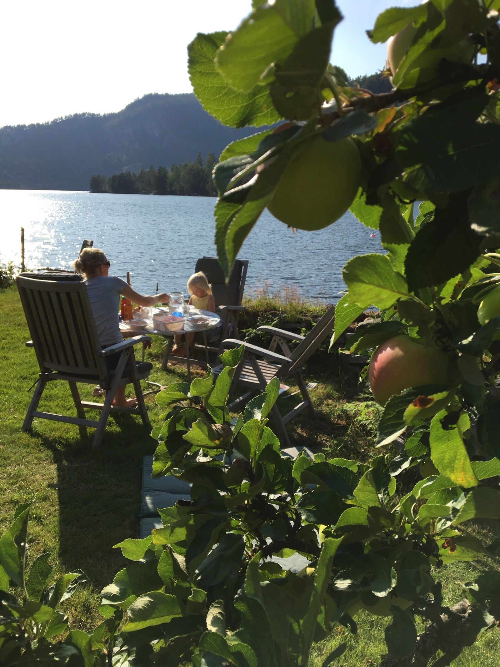 Sommer i hagen Galleribilde