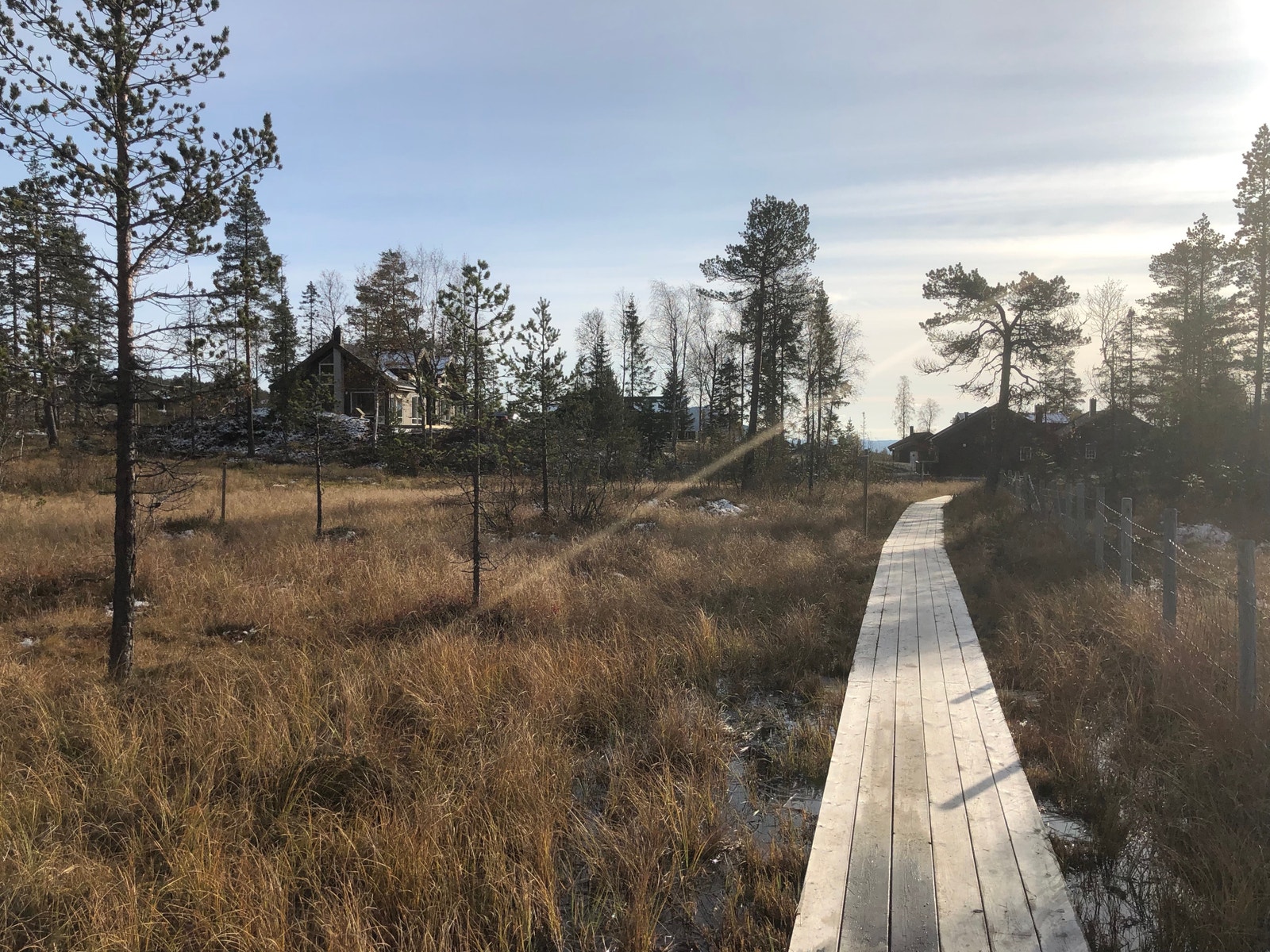 Sykkelsti om sommeren og skiløype på vinteren Galleribilde