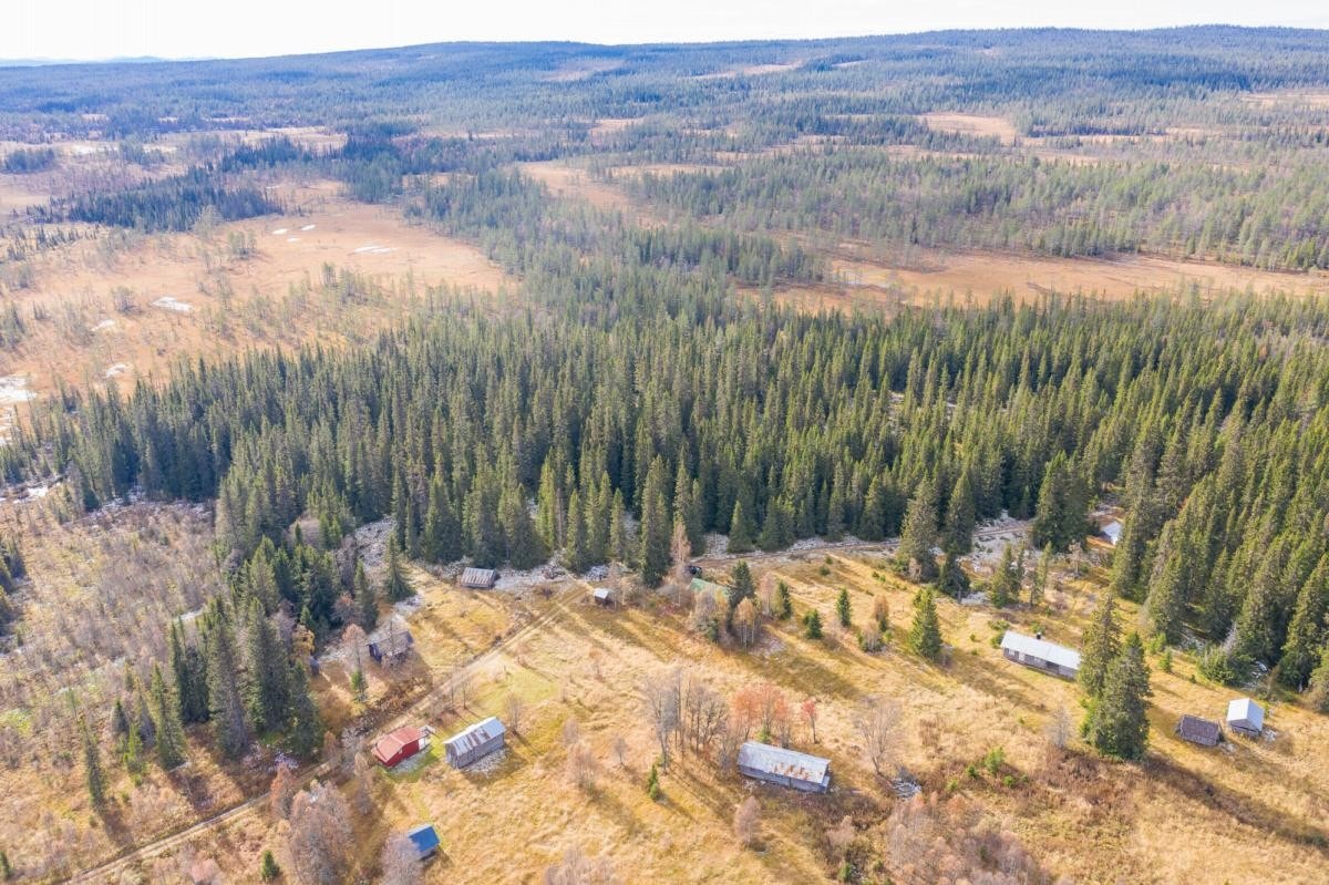 Nærområdet med flotte naturområder. Galleribilde