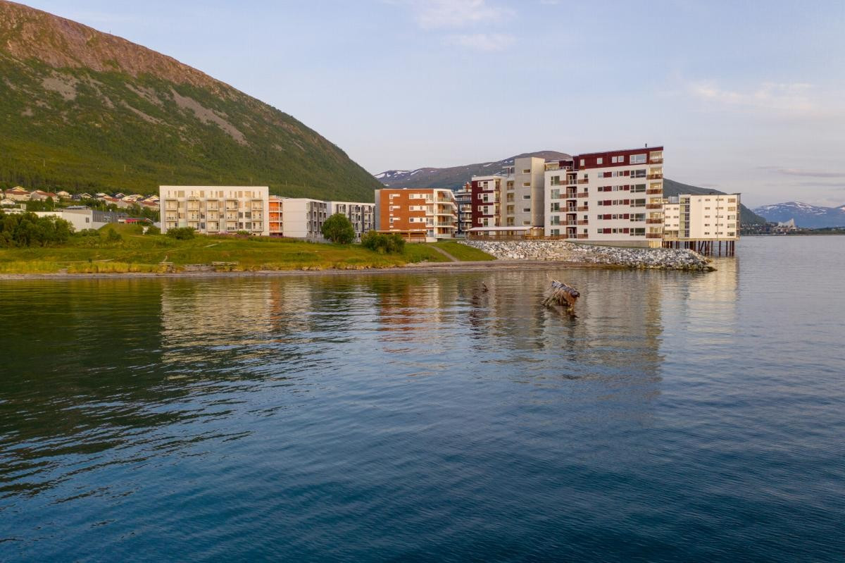 Området