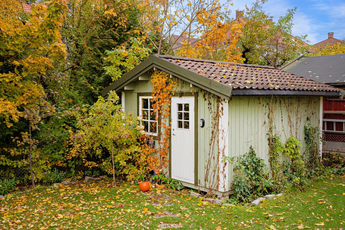 Utebod i hagen. Galleribilde