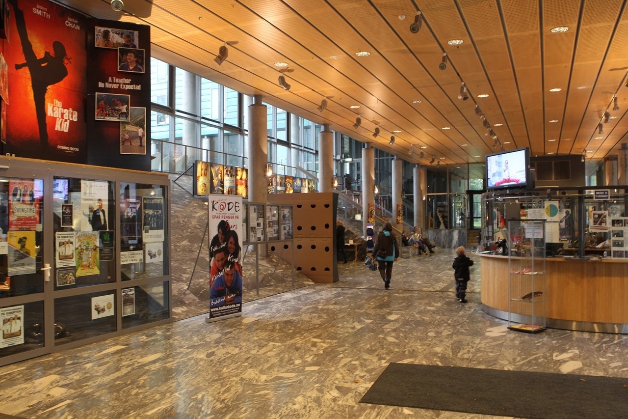 Fredrikstad Kino - 200 meter fra leiligheten. Utenfor kinoen starter også gågata. Galleribilde