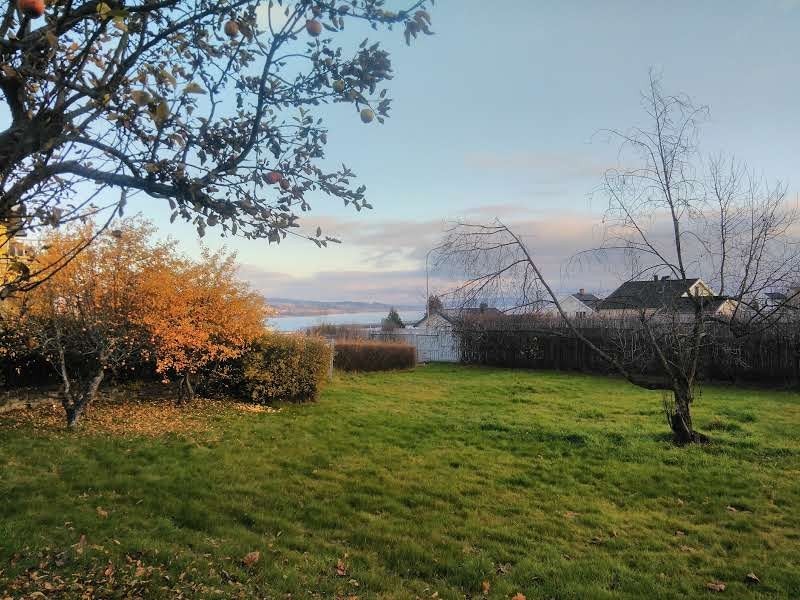 Utsyn mot Mjøsa og sør-øst fra bakkeplan Galleribilde