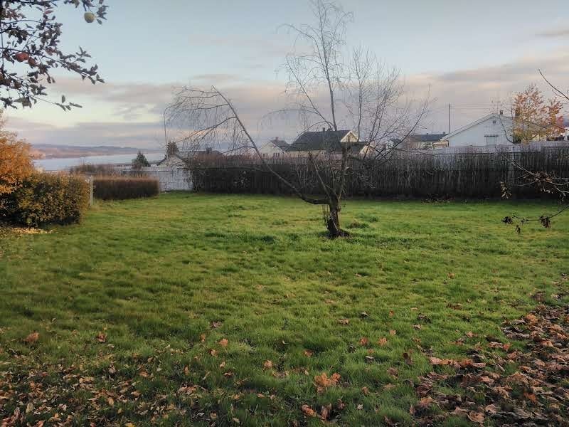 Utsyn mot Mjøsa på bakkeplan Galleribilde