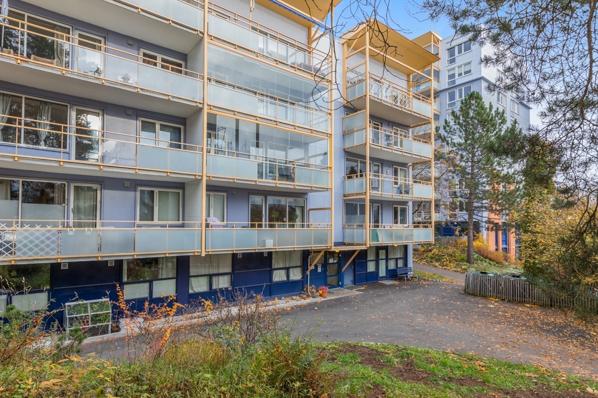 Fasade. Galleribilde