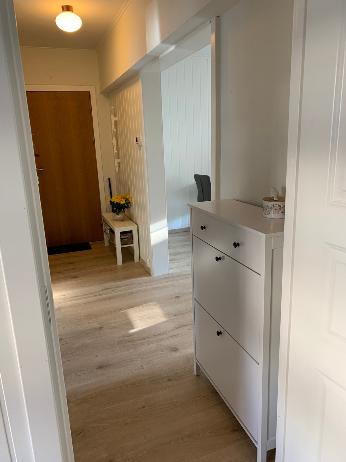 Skoskap Galleribilde