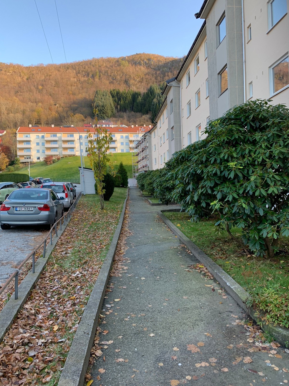 Parkering langs gaten Galleribilde