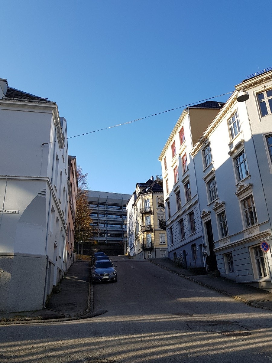 I nærheten: Det matematisk-naturvitenskapelige fakultet ("Realfagsbygget") rett opp gaten Galleribilde