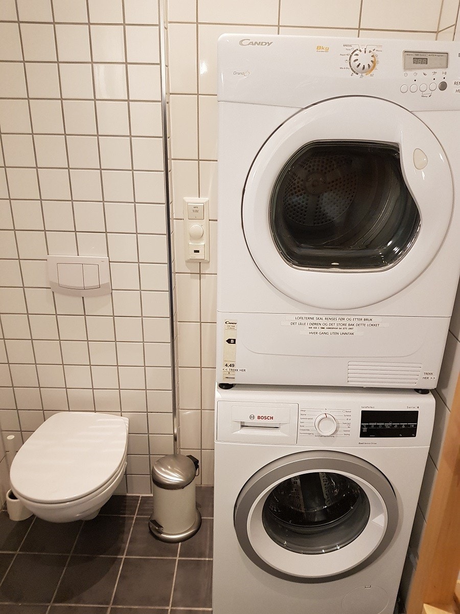 Bad: Vaskemaskin, tørketrommel og hylle, frostet vindu mot bakgård Galleribilde