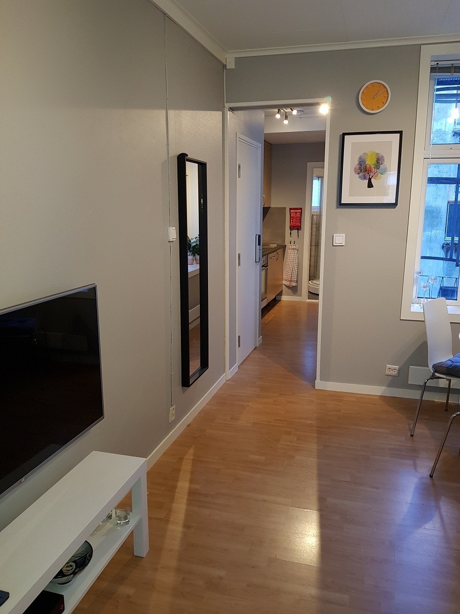 Stue: TV-bord og TV til venstre, ser ut mot kjøkken og bad helt i enden (NB: Vi har byttet til nyere TV) Galleribilde