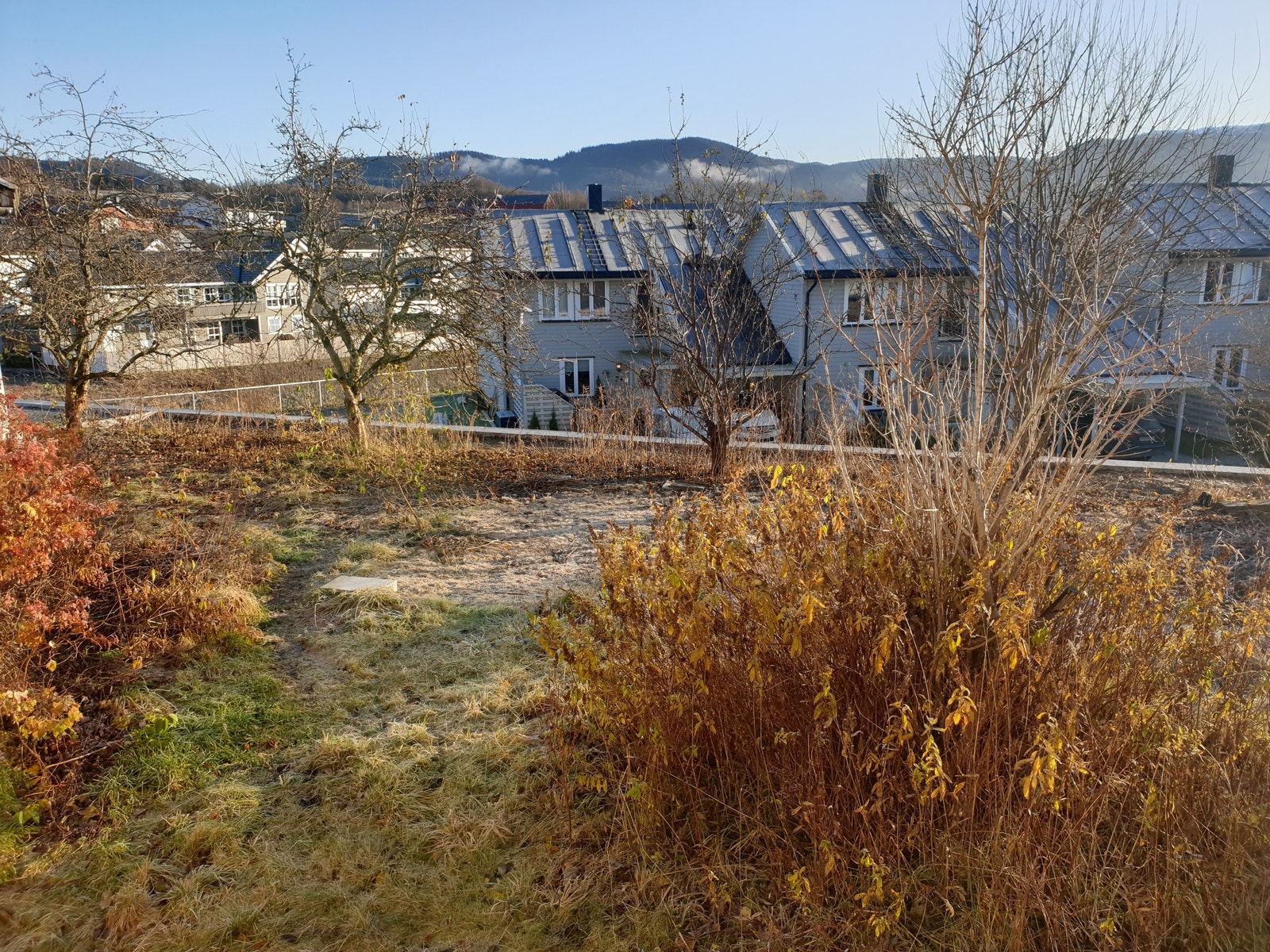 Felles hage Galleribilde