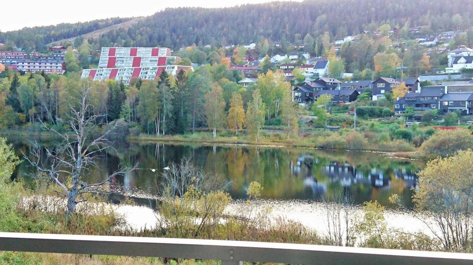 Bondivann og Vardåsen sett fra balkongen, tidlig høst Galleribilde