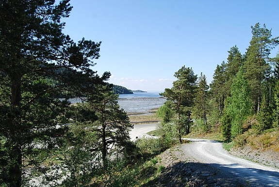 Utsikt Galleribilde
