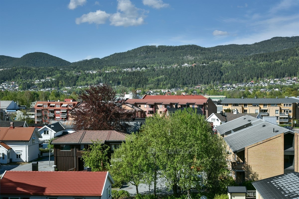 Utsikt. Galleribilde