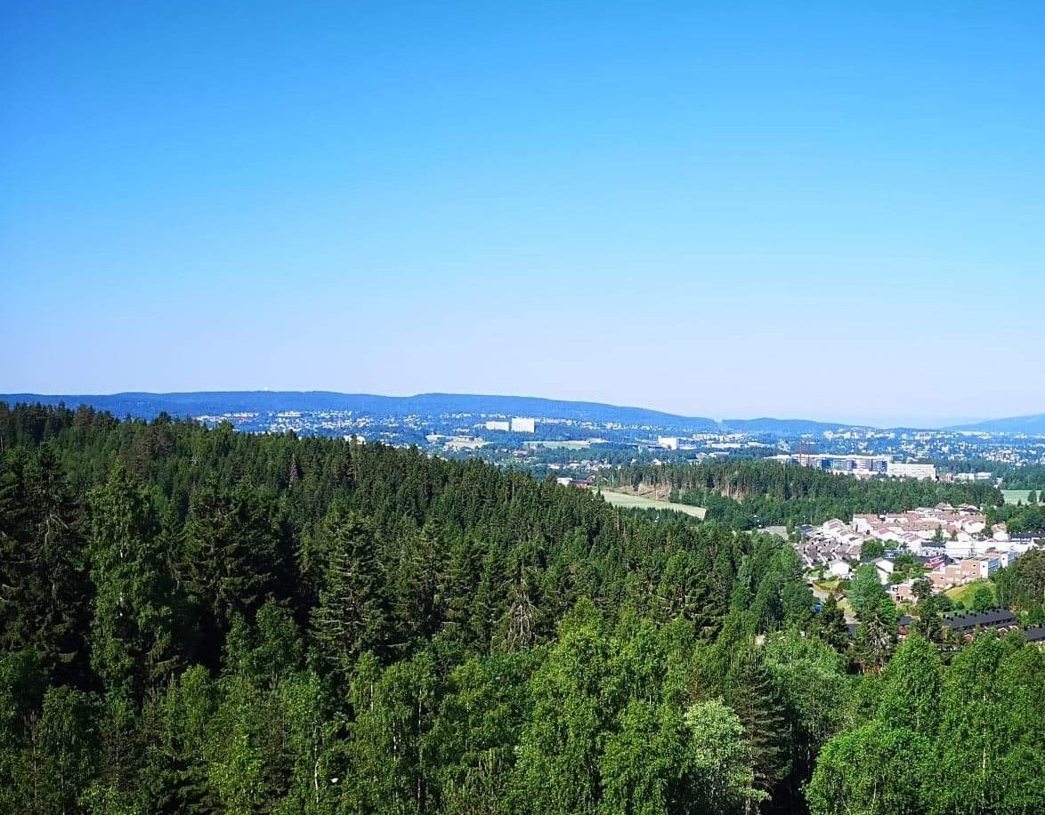 Utsikt sommer. Galleribilde