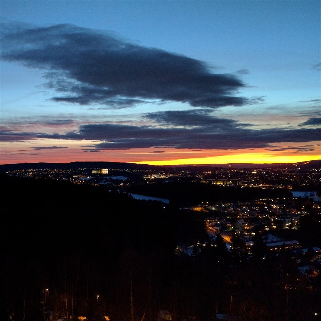 Utsikt kveld. Galleribilde