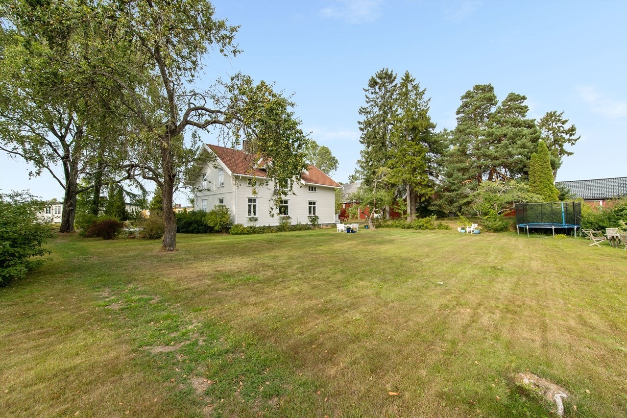 Grønn, frodig plen i forkant av huset. Galleribilde