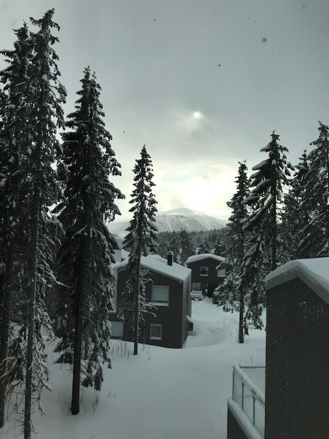 Husene i gata vår Galleribilde